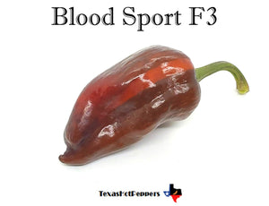 Blood Sport F3