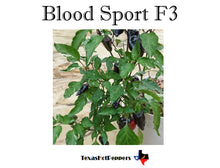 Load image into Gallery viewer, Blood Sport F3