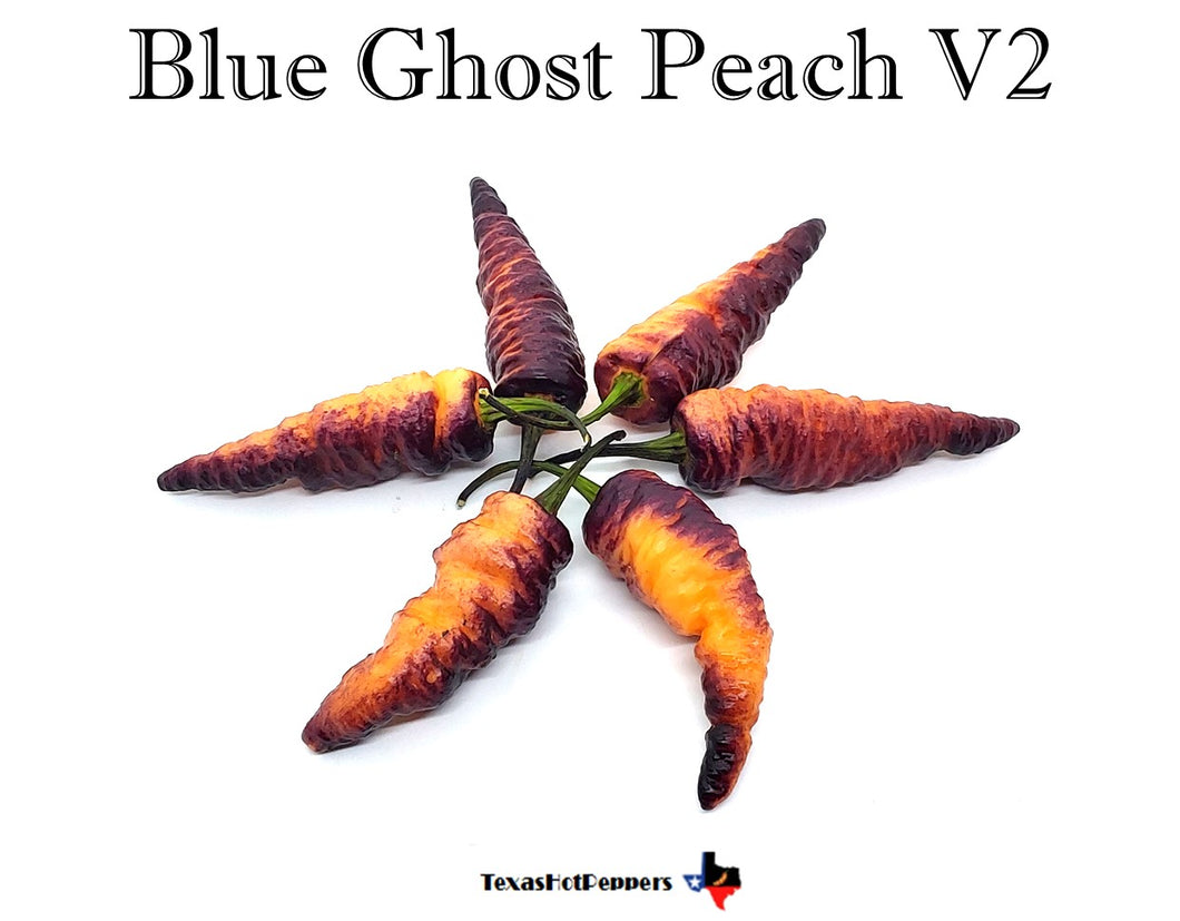 Blue Ghost Peach V2