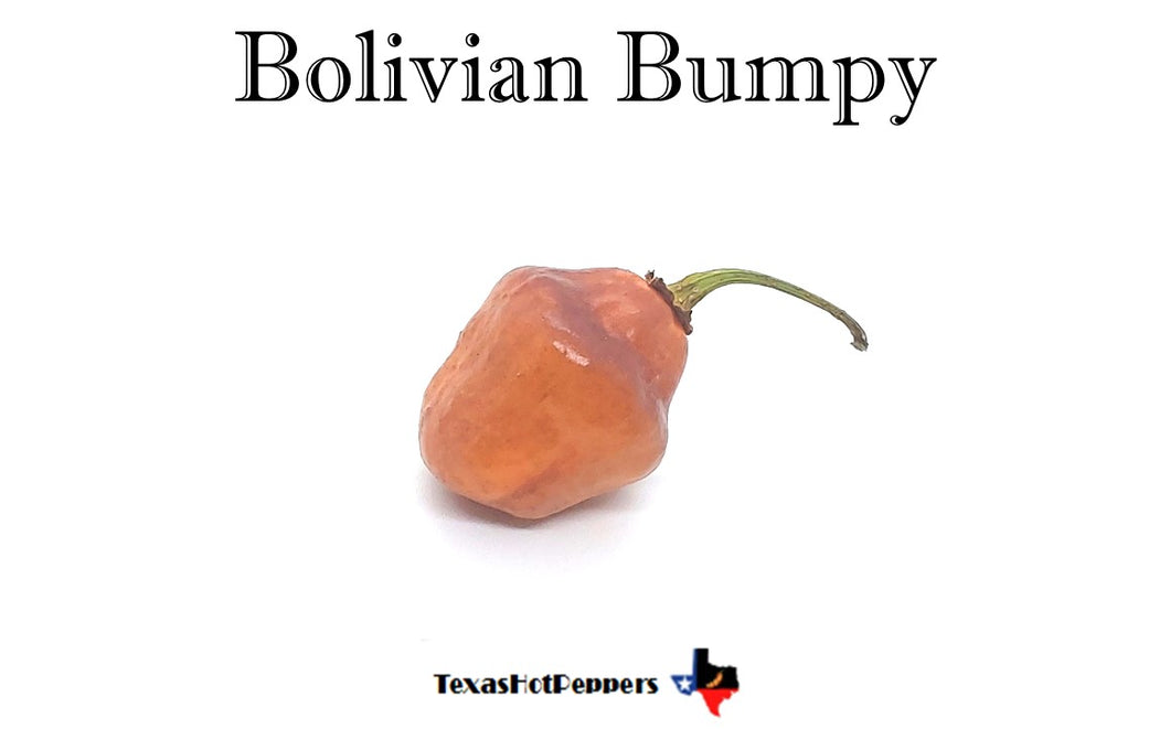 Bumpy Chilli Pepper Bolivian Bumpy – Texas Hot Peppers