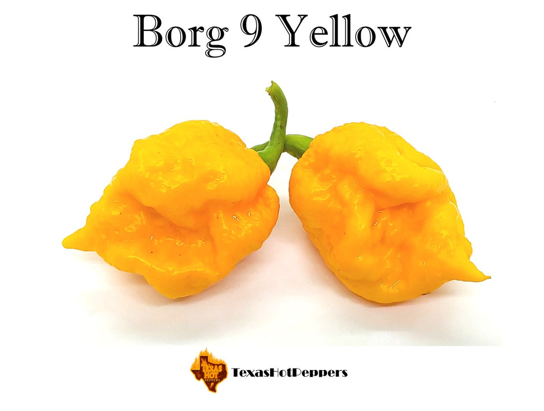 Borg 9 Yellow