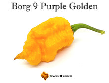 Load image into Gallery viewer, Borg 9 Purple Golden