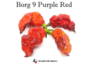 Borg 9 Purple Red