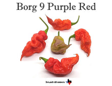 Load image into Gallery viewer, Borg 9 Purple Red