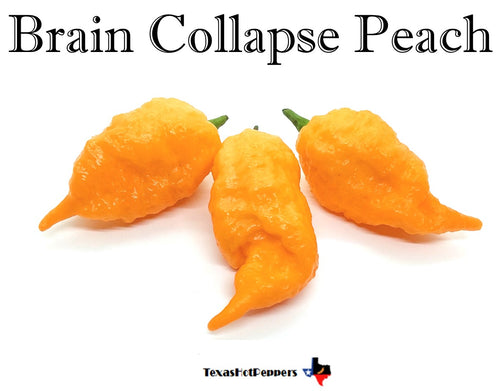 Brain Collapse Peach
