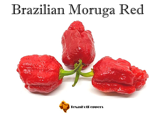 Brazilian Moruga Red