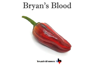 Bryan's Blood