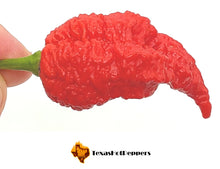 Load image into Gallery viewer, CC Jigsaw