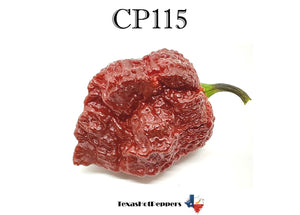 CP 115