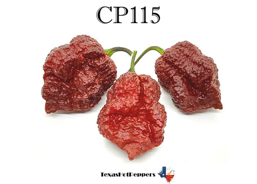 CP 115