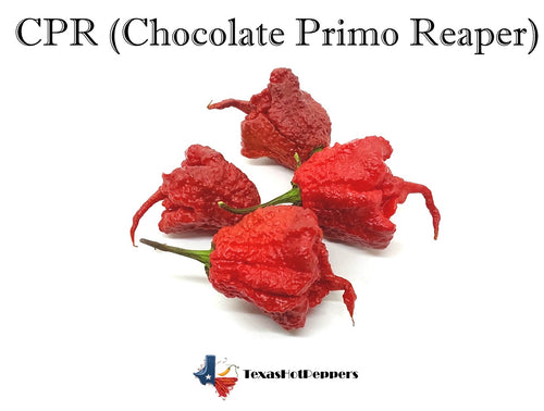 CPR - Chocolate Primo Reaper