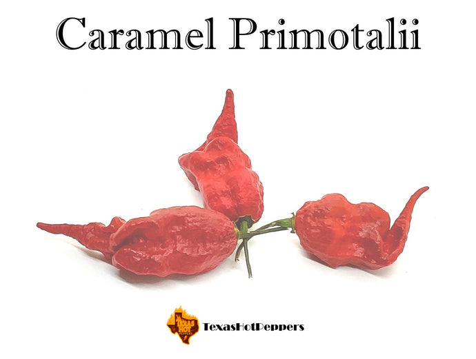 Caramel Primotalii