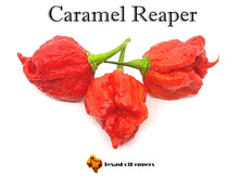 Load image into Gallery viewer, Caramel Reaper