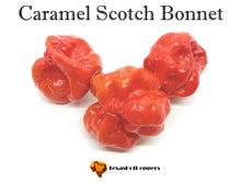 Load image into Gallery viewer, Caramel Scotch Bonnet