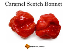 Load image into Gallery viewer, Caramel Scotch Bonnet
