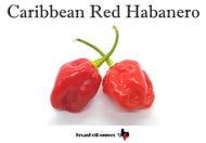 Caribbean Red Habanero