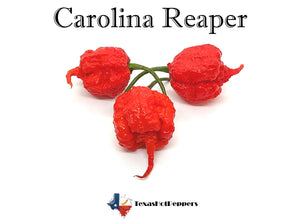 Carolina Reaper