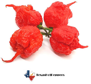 Carolina Reaper