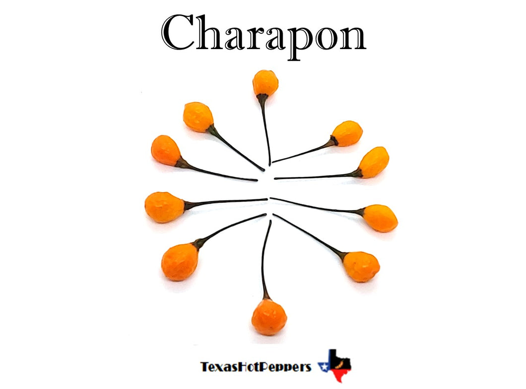 Charapon
