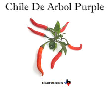 Load image into Gallery viewer, Chile De Arbol Purple