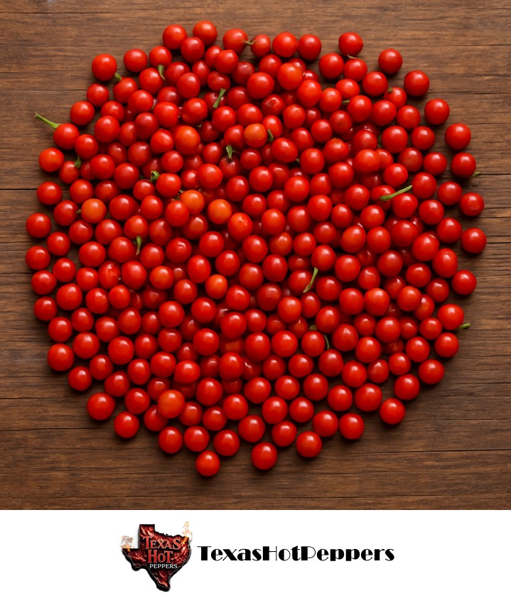 Chiltepin