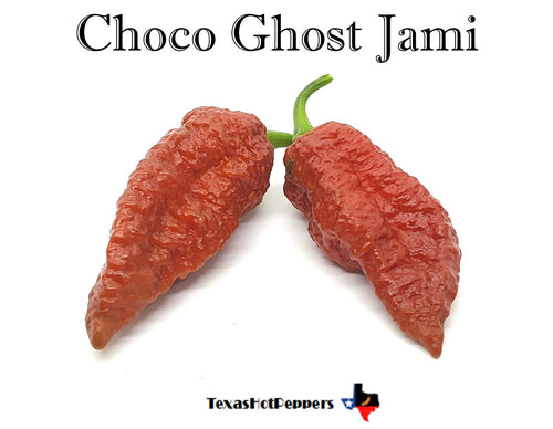 Choco Ghost Jami