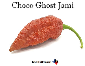 Choco Ghost Jami