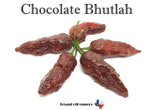 Chocolate Bhutlah