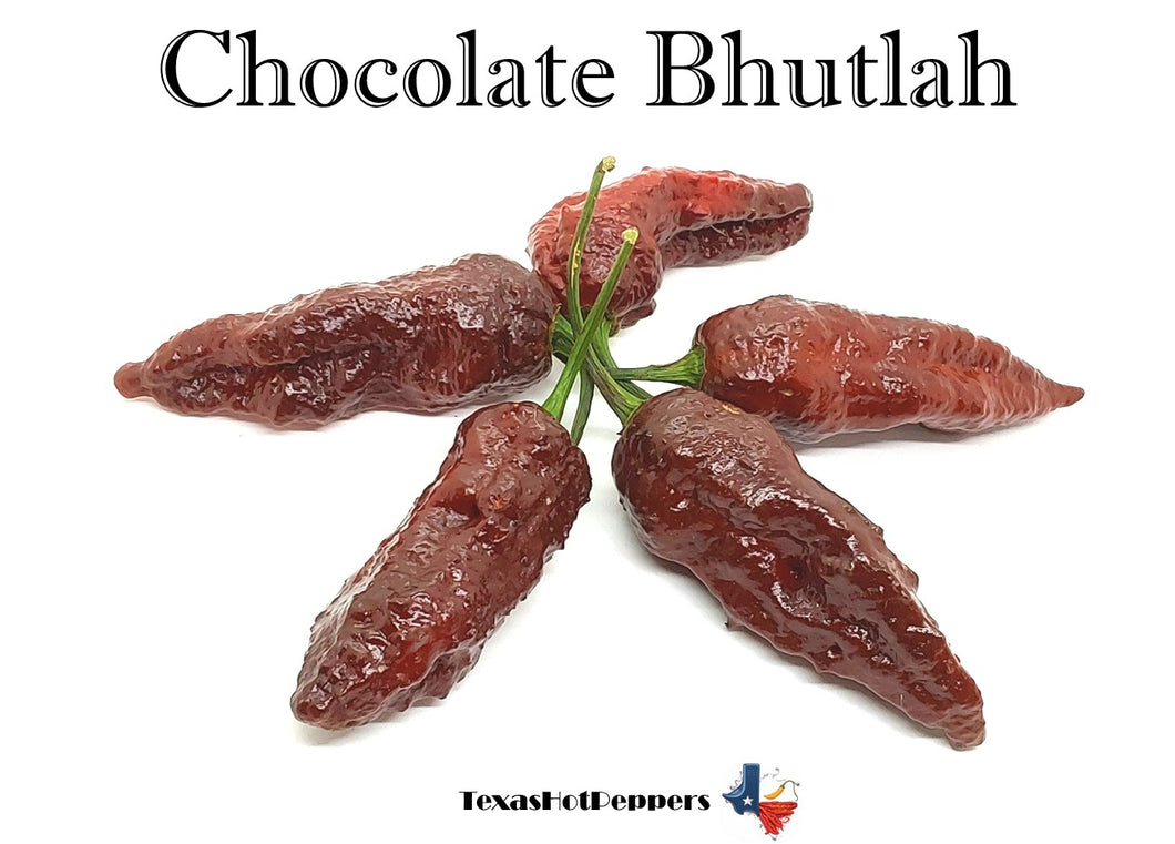 Chocolate Bhutlah