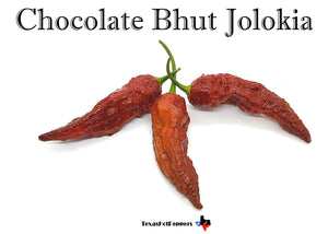 Chocolate Bhut Jolokia