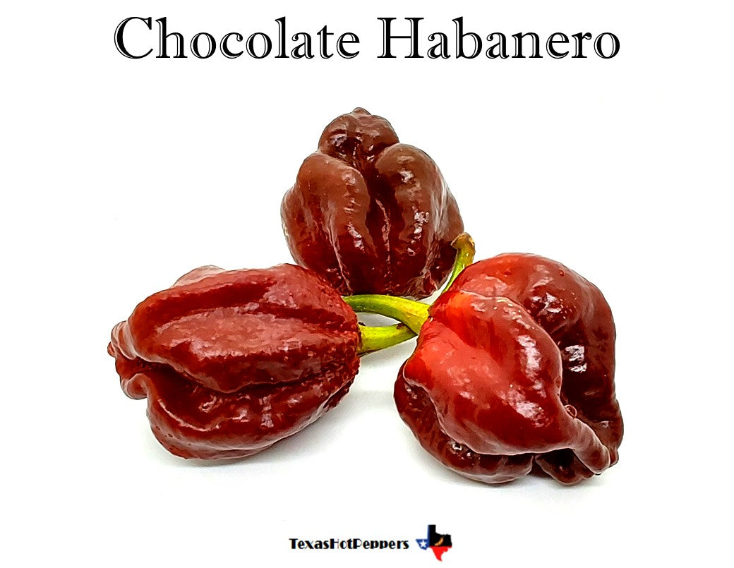 Habanero Seed Collection - 10 Different Varieties