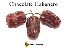 Load image into Gallery viewer, Chocolate Habanero