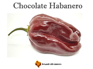 Chocolate Habanero