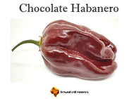 Chocolate Habanero
