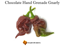 Load image into Gallery viewer, Chocolate Hand Grenade Gnarly