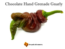 Load image into Gallery viewer, Chocolate Hand Grenade Gnarly