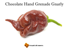 Load image into Gallery viewer, Chocolate Hand Grenade Gnarly
