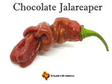 Load image into Gallery viewer, Chocolate Jalareaper