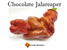 Load image into Gallery viewer, Chocolate Jalareaper