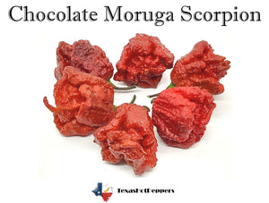 Chocolate Moruga Scorpion