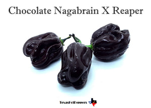 Chocolate Nagabrain X Reaper