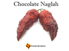 Load image into Gallery viewer, Chocolate Naglah