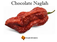 Load image into Gallery viewer, Chocolate Naglah
