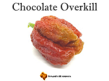 Load image into Gallery viewer, Chocolate Overkill