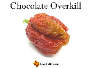 Chocolate Overkill