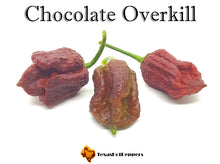 Load image into Gallery viewer, Chocolate Overkill
