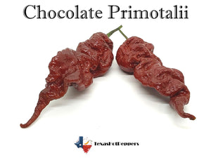 Chocolate Primotalii