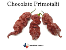 Load image into Gallery viewer, Chocolate Primotalii