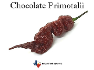 Chocolate Primotalii