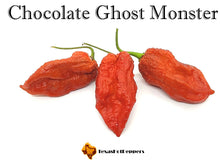 Load image into Gallery viewer, Chocolate Ghost Monster